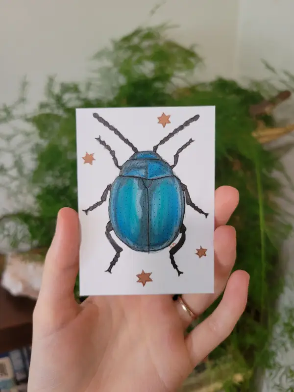 Leaf Beetle aceo art card