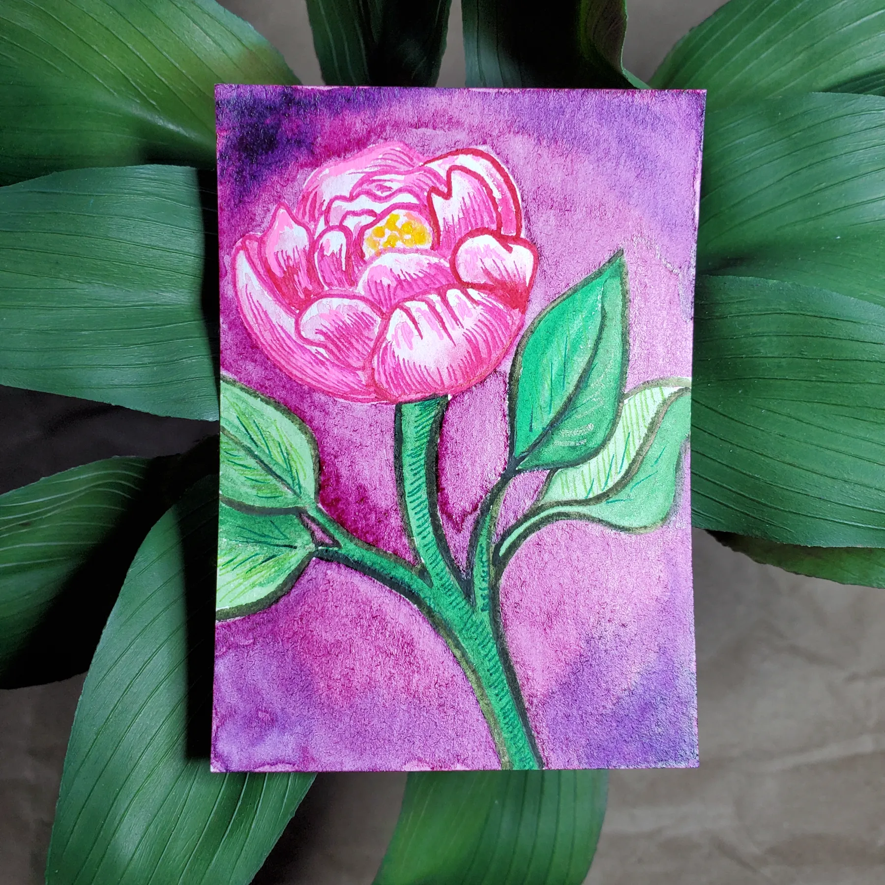 Peony Flower aceo art card