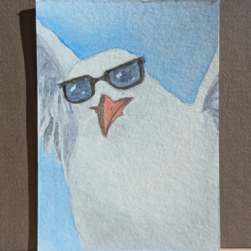 "Shady" ACEO Original Watercolor Painting of a Seagull in Sunglasses aceo art card
