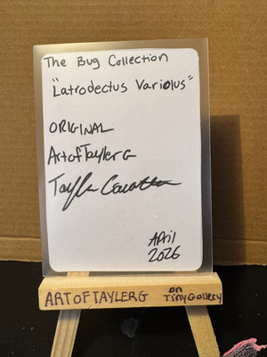Latrodectus Variolus aceo art card thumbnail 2