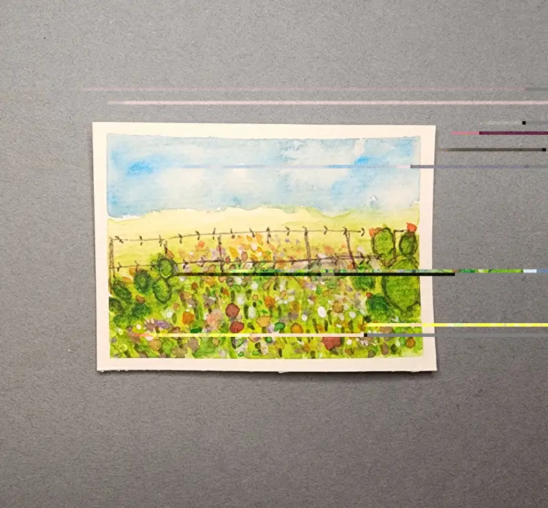 Wild flower field 1 aceo art card