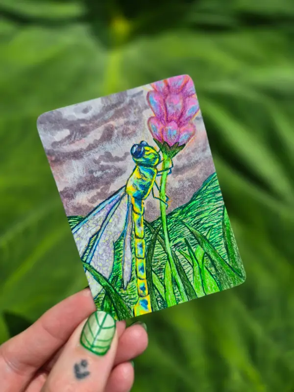 Dragonfly resting aceo art card