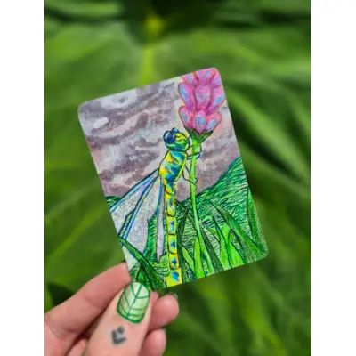 Dragonfly resting aceo art card thumbnail 1