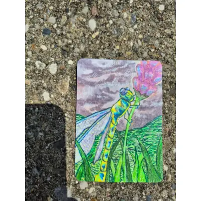 Dragonfly resting aceo art card thumbnail 2