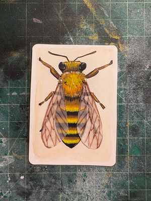 Honey Bee aceo art card thumbnail 2