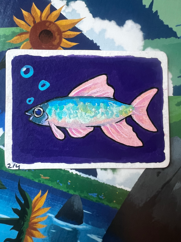 The Pale Chub aceo art card