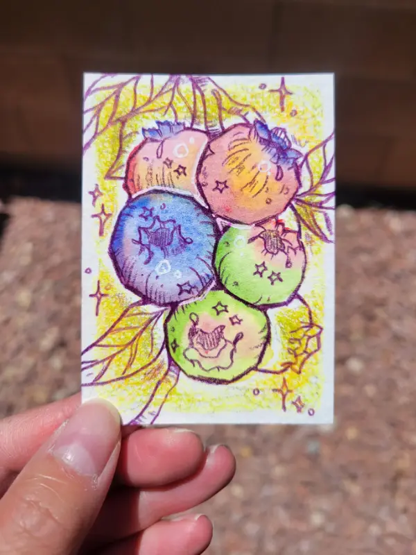 Blueberry Bliss aceo art card