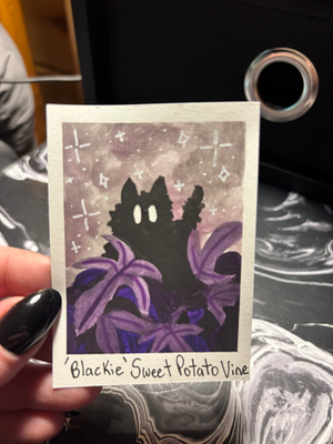 Spooky Baby: Sweet Potato Vine aceo art card thumbnail 2