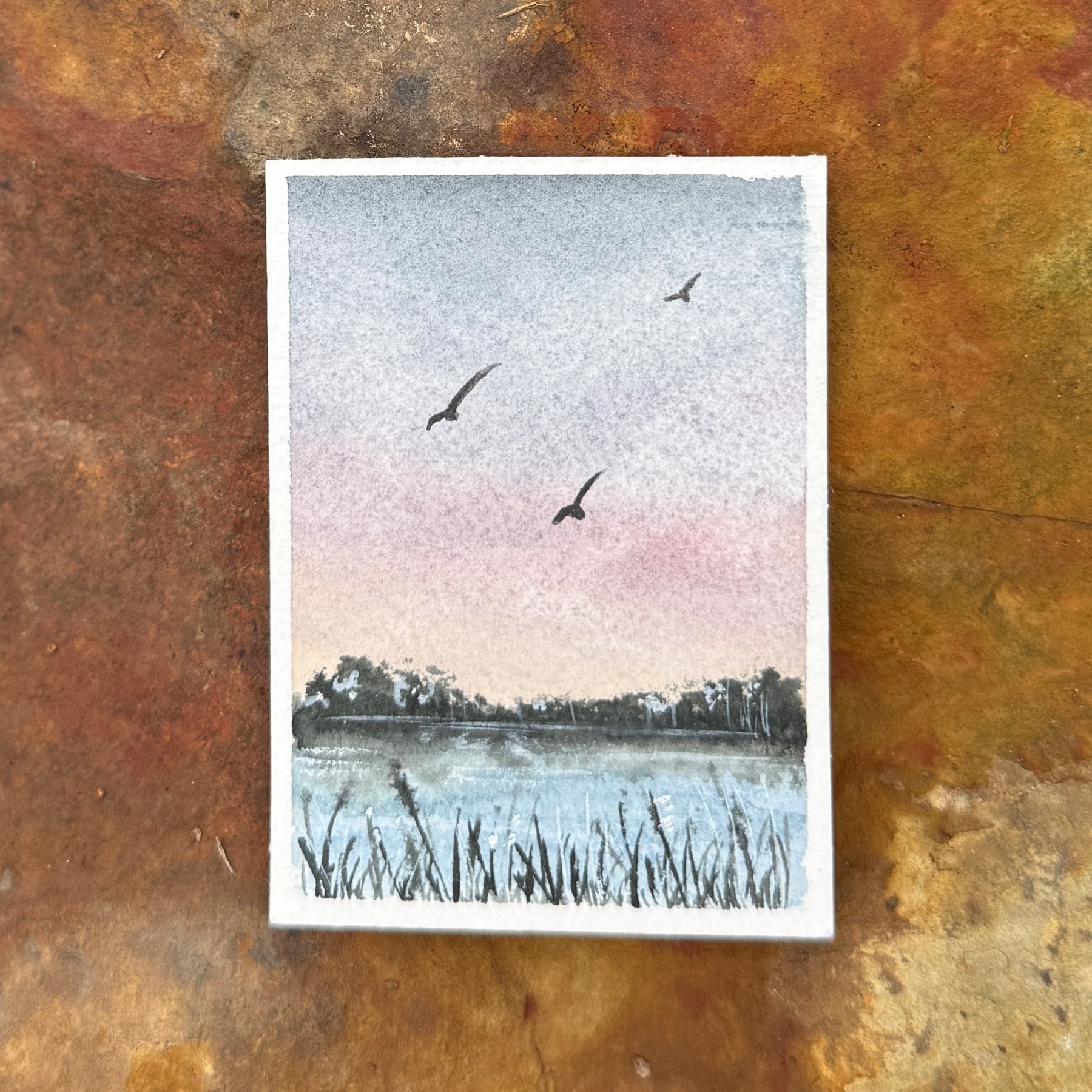Pond Sunrise aceo art card