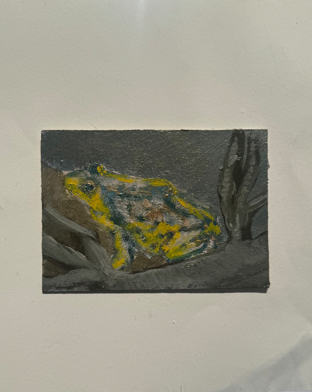 Wandering Frog (metallic) aceo art card