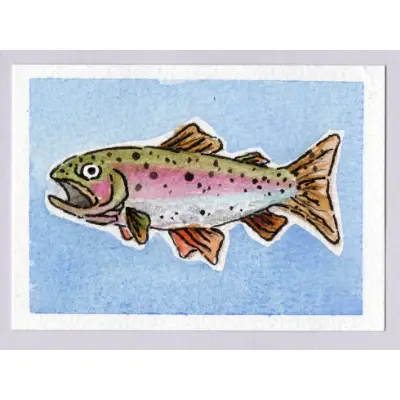 TROUTS aceo art card thumbnail 2