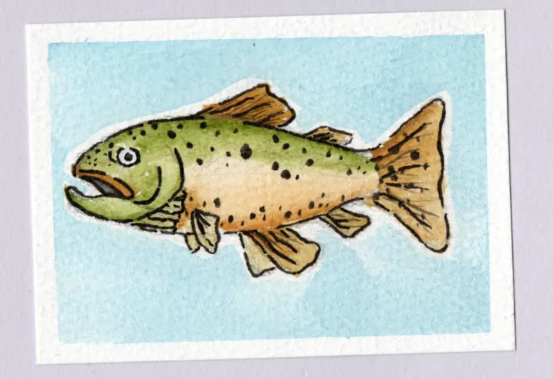 TROUTS aceo art card