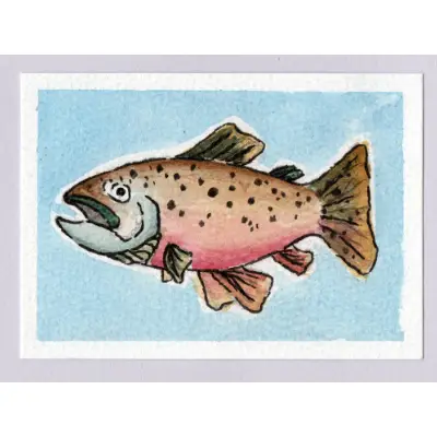 TROUTS aceo art card thumbnail 3
