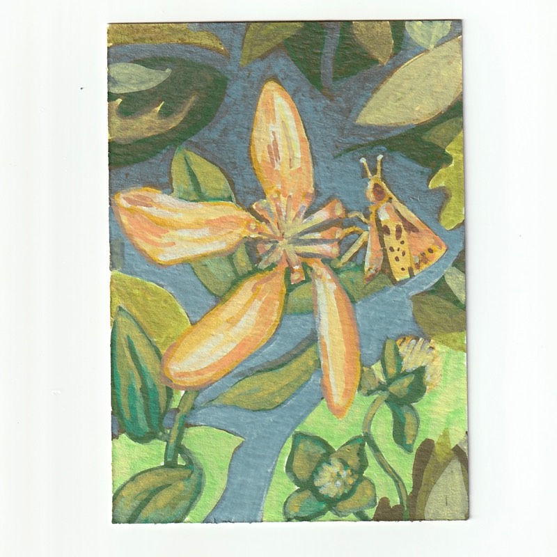 Yellow Flower Moth aceo art card