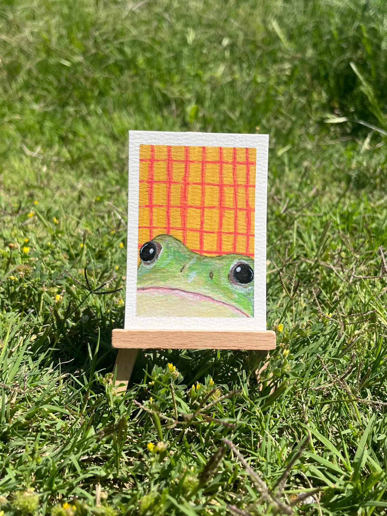 Peeking Frog aceo art card