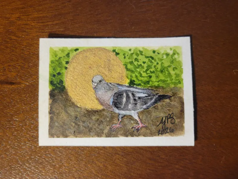 Pigeon in the Park #1 aceo art card