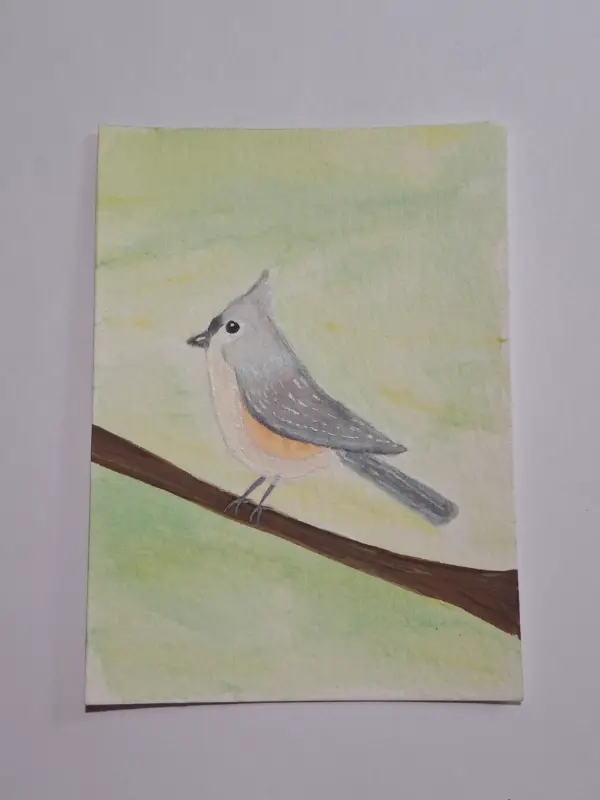 Tufted Titmouse aceo art card
