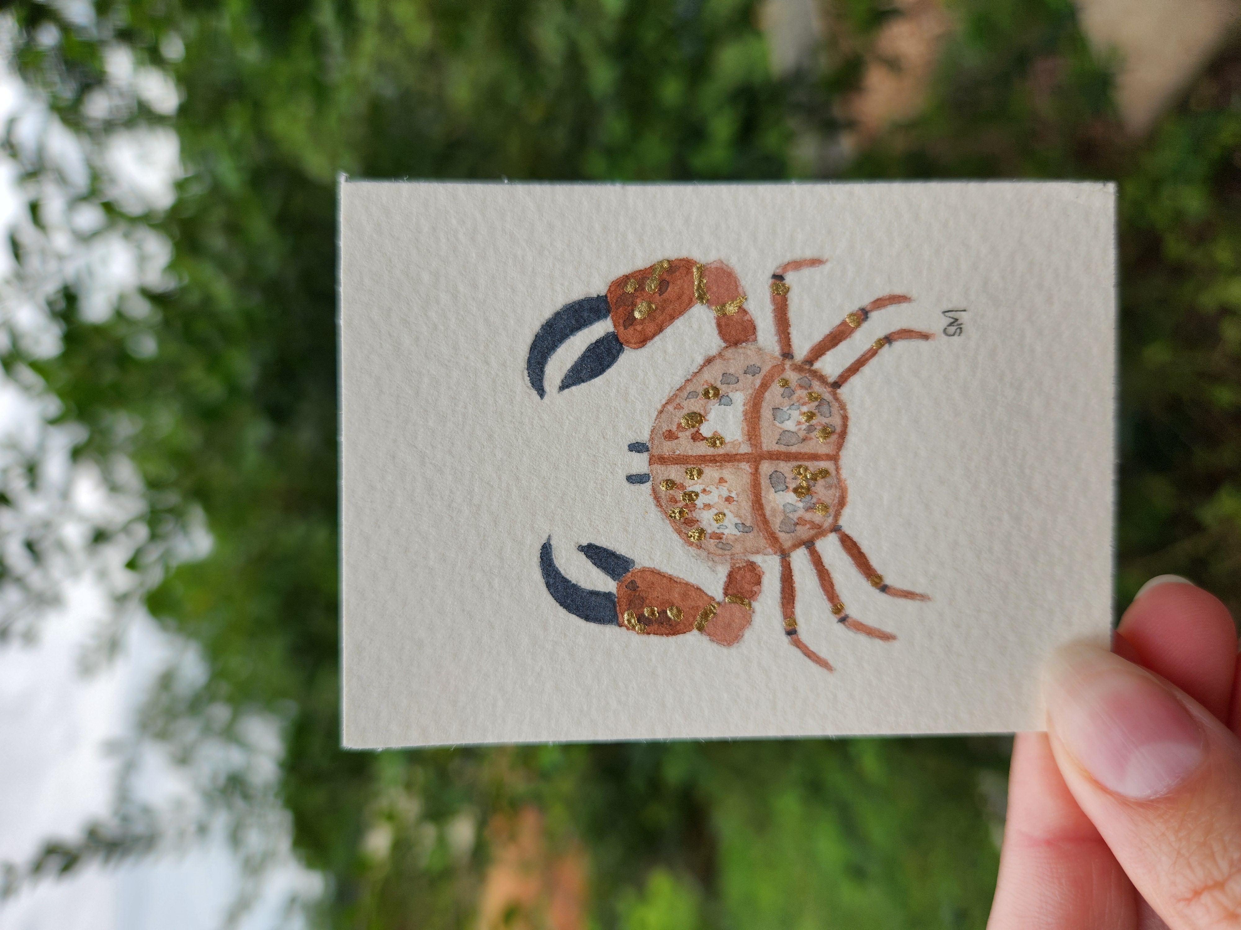 Cutie Crab aceo art card