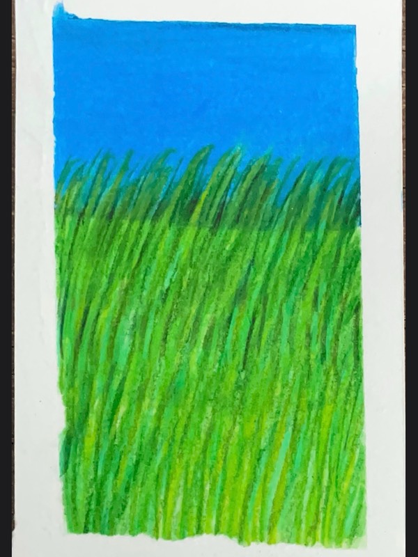 Grassy Field 1 aceo art card