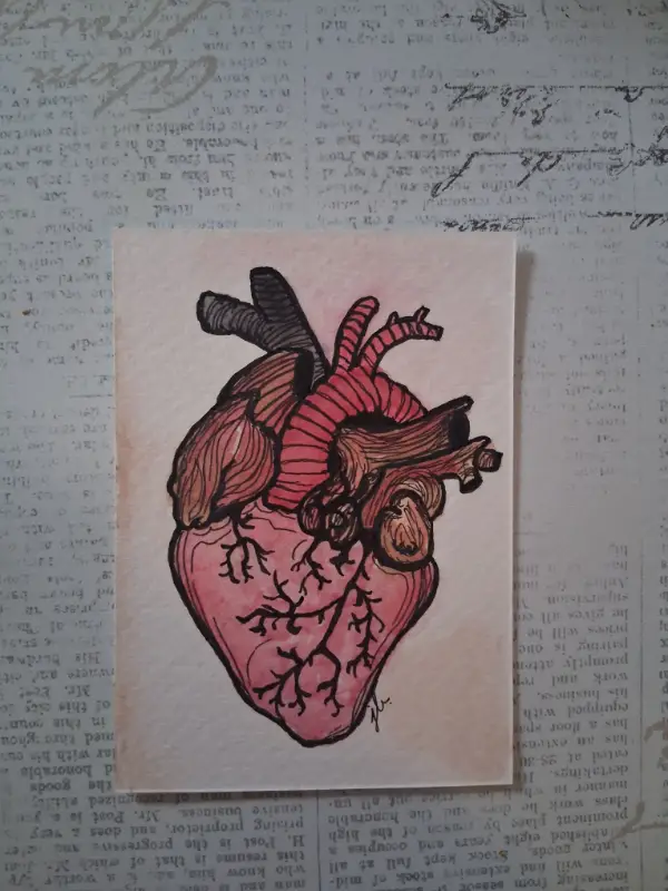 Anatomical Heart aceo art card