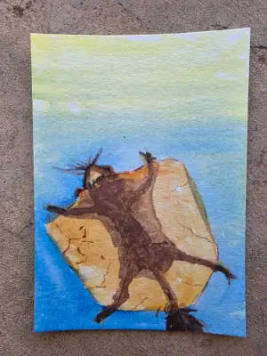 Indian Giant Flying Squirell aceo art card thumbnail 3