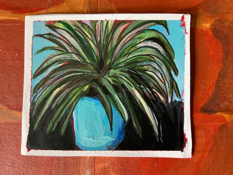House Plant: Spider aceo art card