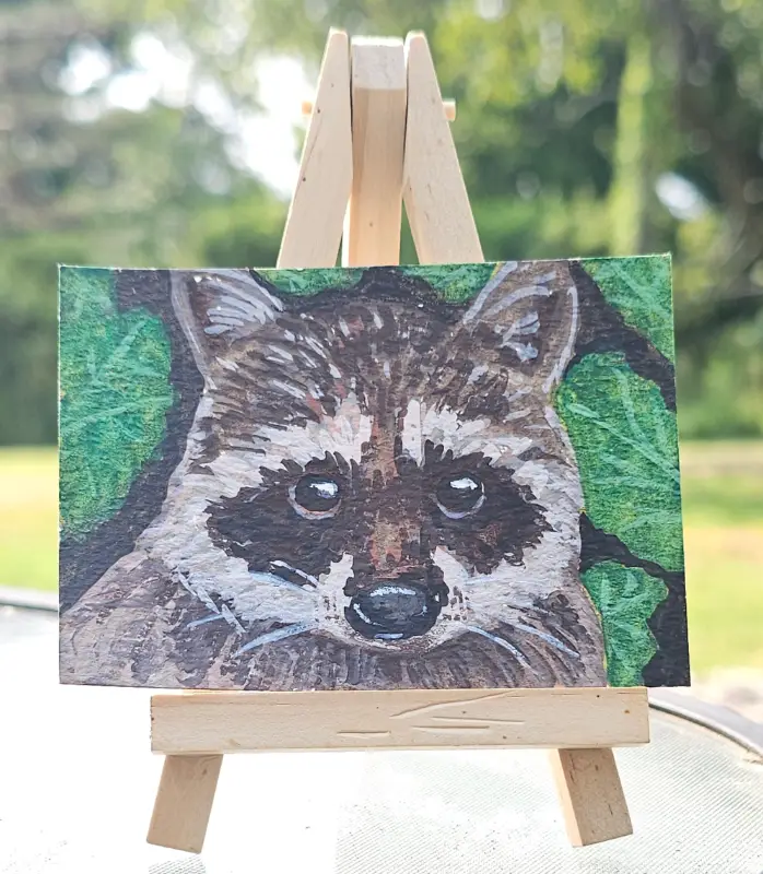 Raccoon In Bushes aceo art card