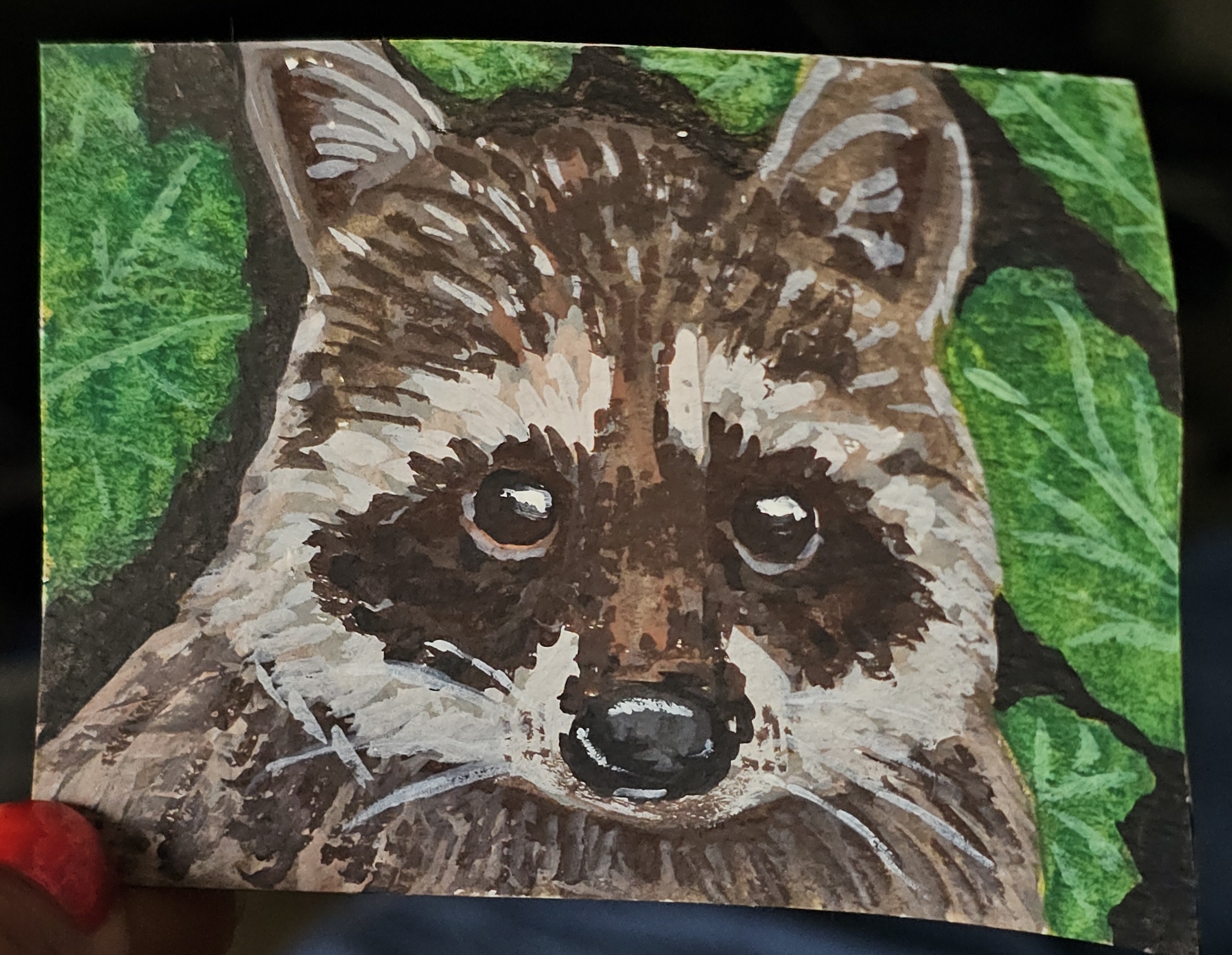 Raccoon In Bushes aceo art card thumbnail 2