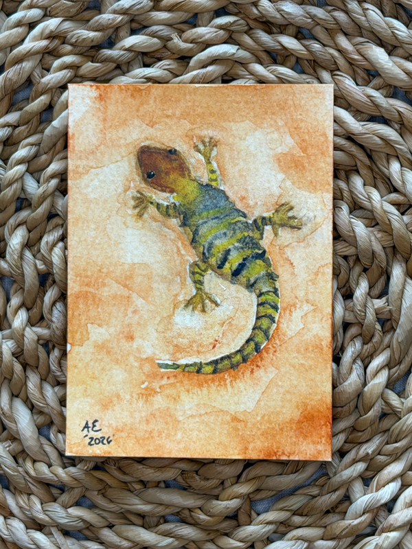 Mojave Lizard ACEO by Wilderness Daydreamer aceo art card