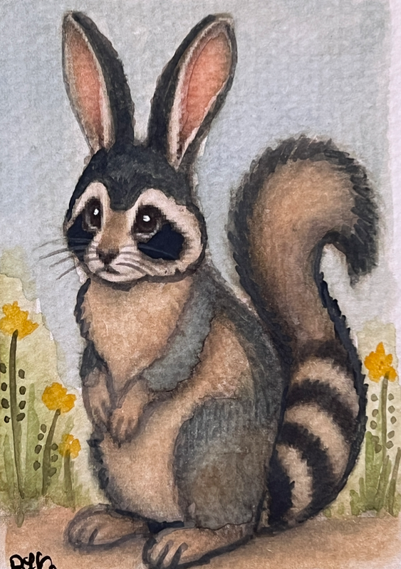Hybrid Rabbit x Raccoon aceo art card