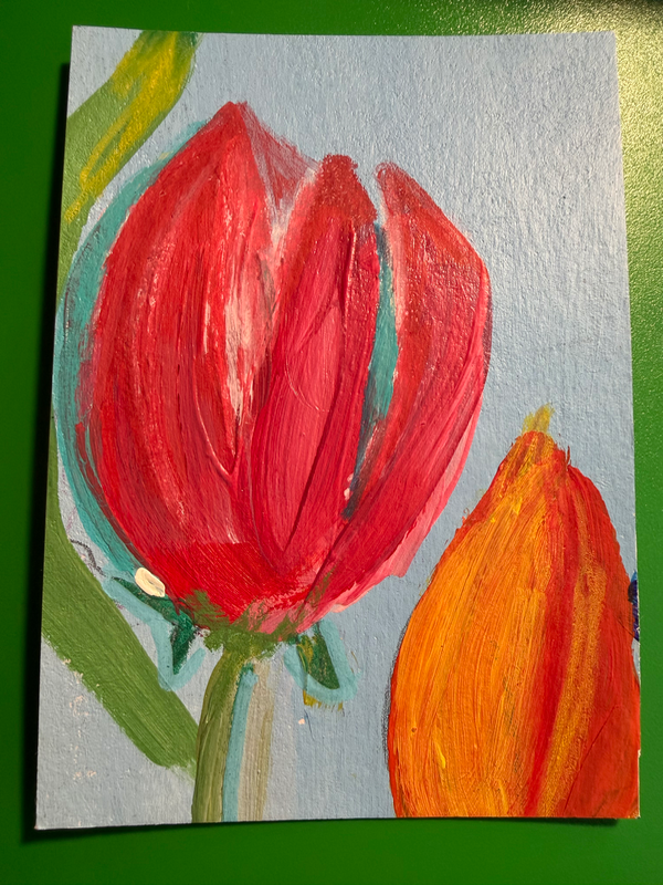 Two Tulips In Morning Light aceo art card