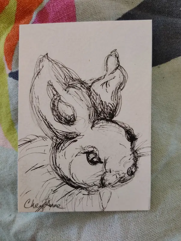 Bunny Rabbit ACEO Original pen n ink by CheyAnne aceo art card