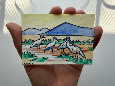 San Francisco Bay National Wildlife Refuge (2) aceo art card thumbnail 4