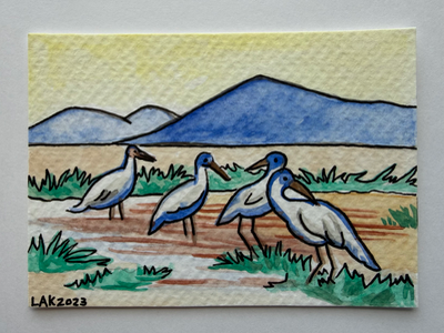 San Francisco Bay National Wildlife Refuge (2) aceo art card thumbnail 1