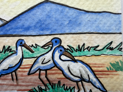 San Francisco Bay National Wildlife Refuge (2) aceo art card thumbnail 3