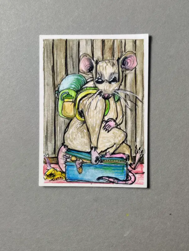Pack rat aceo art card