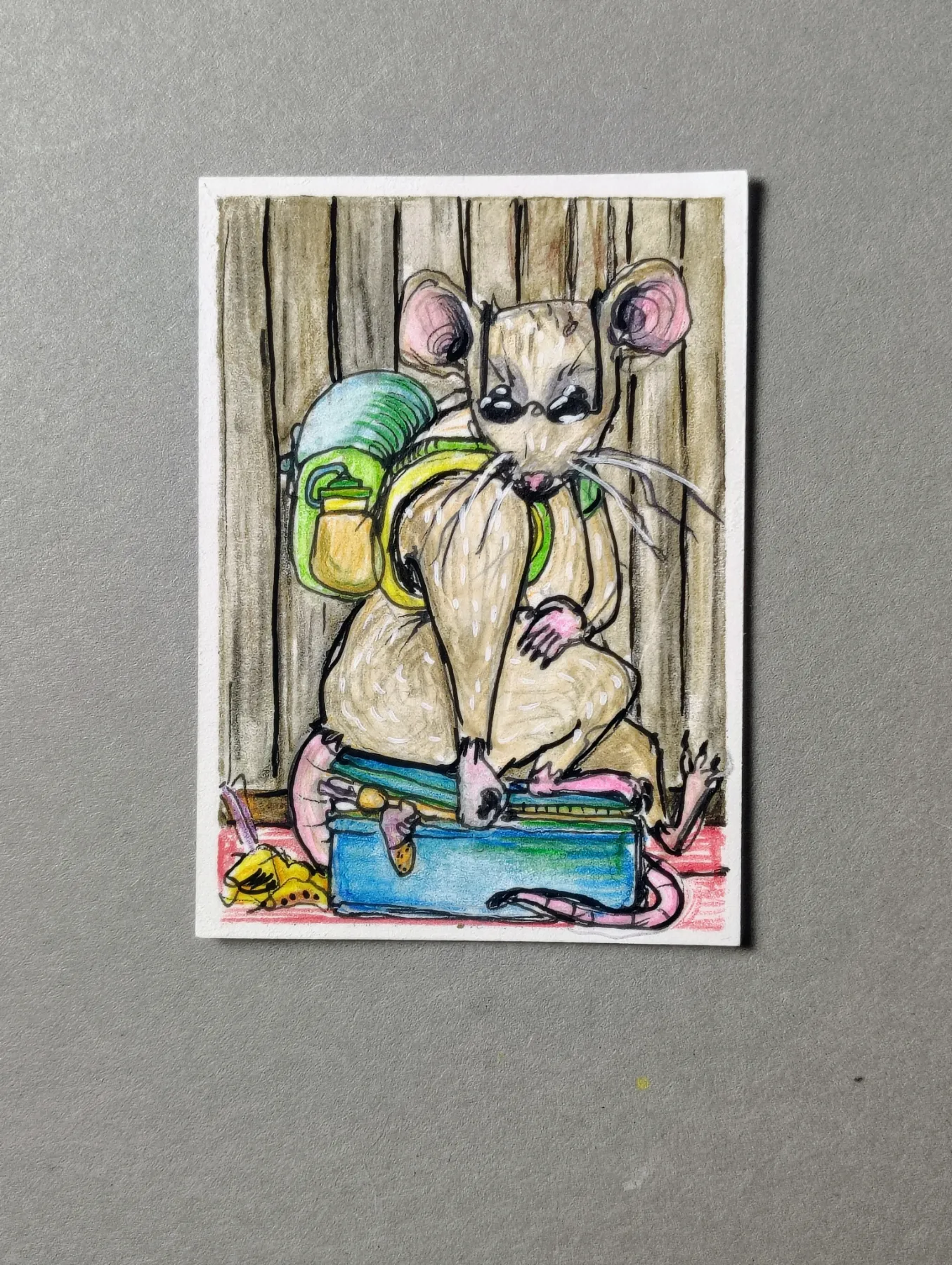 Pack rat aceo art card
