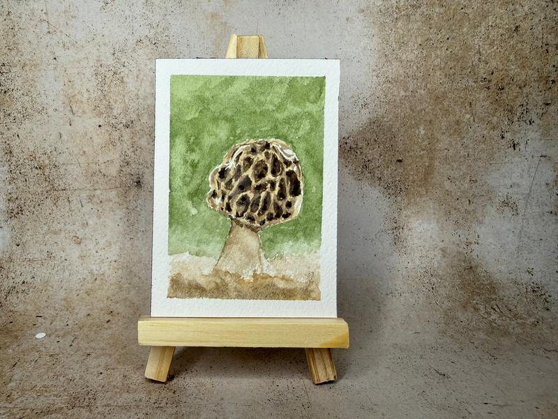 Mushroom aceo art card