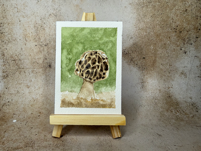 Mushroom aceo art card thumbnail 1