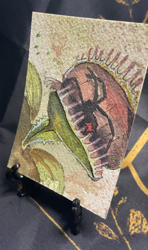 Fly catcher aceo art card