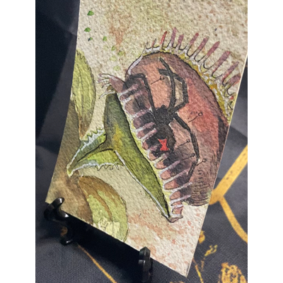 Fly catcher aceo art card thumbnail 1