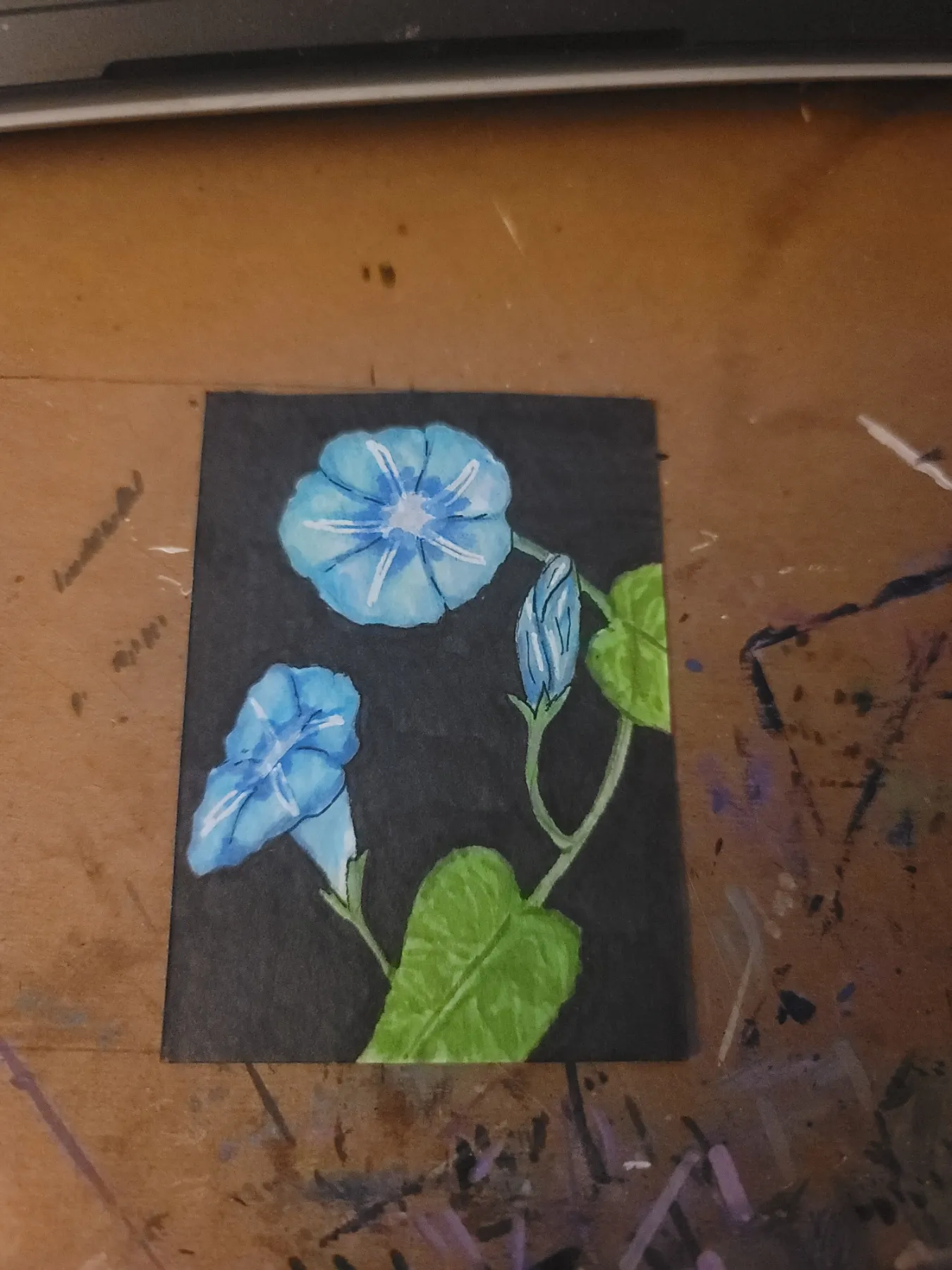 Morning Glories #5 aceo art card