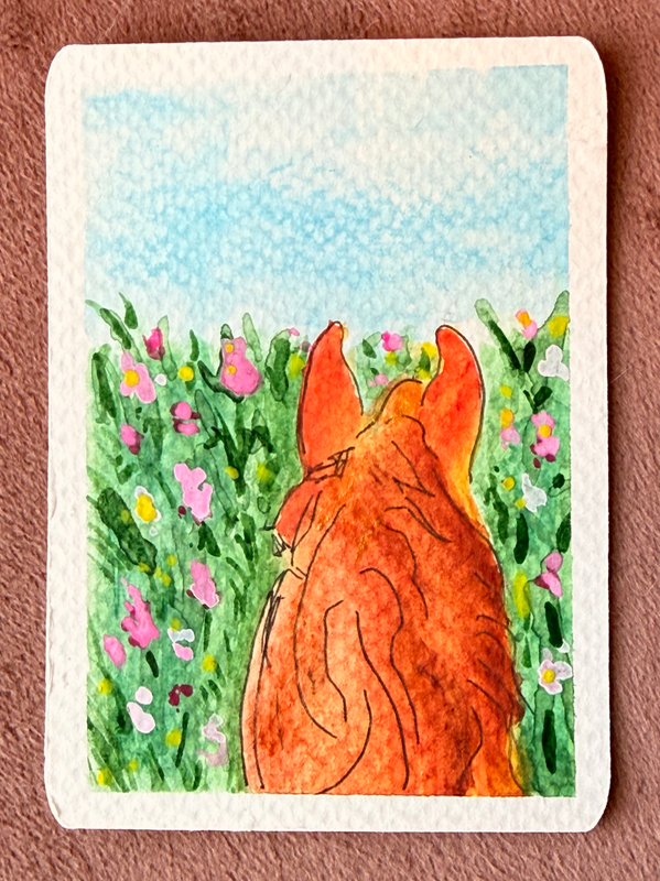 View from Horseback aceo art card