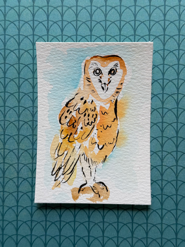 Barn Owl aceo art card