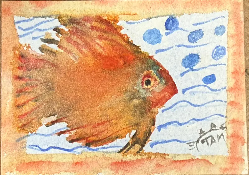 Bubbles & Daydreams aceo art card