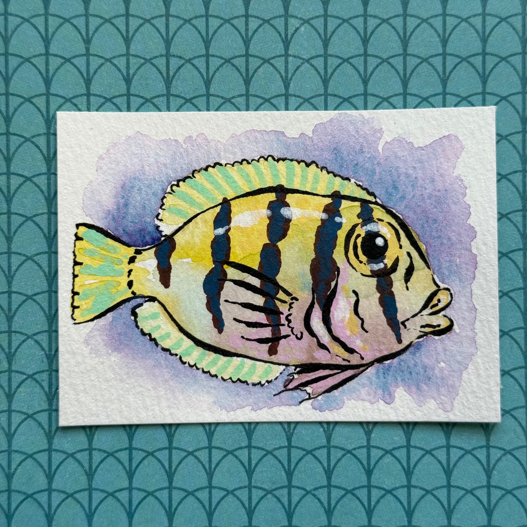 Yellow Striped Fish aceo art card