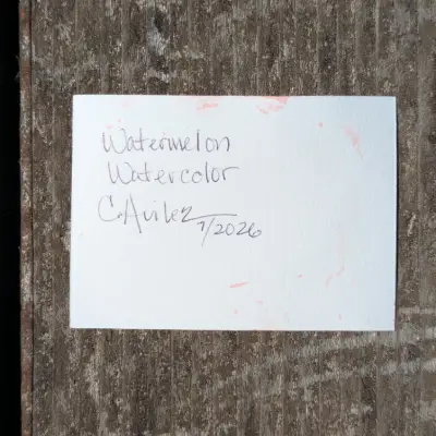 Watermelon aceo art card thumbnail 3