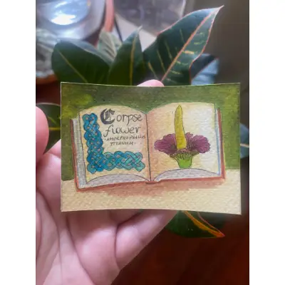 Corpse Flower aceo art card thumbnail 2