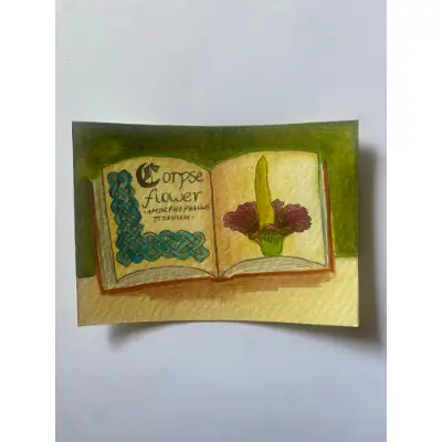Corpse Flower aceo art card thumbnail 3