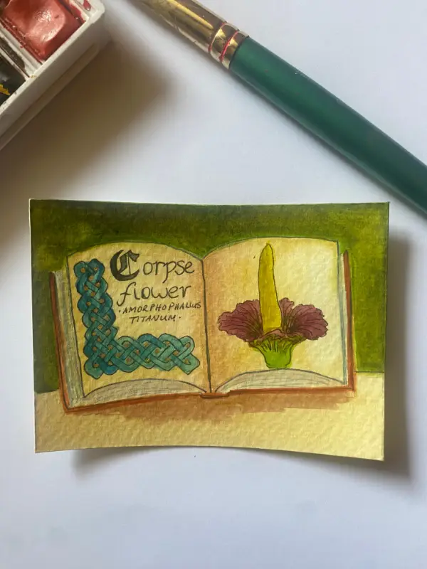 Corpse Flower aceo art card